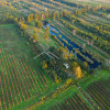 Grunty na Zalewem Wiślanym 21,8200ha