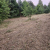 Działka rolno-budowlana 1,52 ha Dąbrowa gm. Ludwin