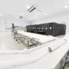 Hala z chłodnią, gotowy biznes - czytaj opis!