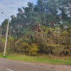 Działka Wiązowna