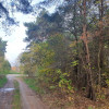 Działka Wiązowna