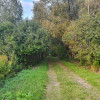 Działka Kąck