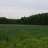 Działka Byków