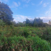 Działka Kąck