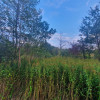Działka Kąck