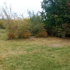 Działka rekreacyjna ROD