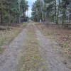 Działka Boryszew