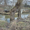 Działka Boryszew