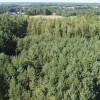 Dom na dużej działce w Świesielicach gm. Ciepielów