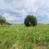 Działka Lipa ul.  