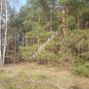 ⭐⭐⭐⭐2500 m2 urokliwa działka przy lesie z MPZP⭐⭐⭐⭐