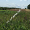 ⭐⭐⭐⭐ Okazja Działka 19000m2 z warunkami zabud!⭐⭐⭐⭐
