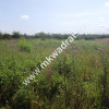 ⭐⭐⭐⭐ Okazja Działka 19000m2 z warunkami zabud!⭐⭐⭐⭐