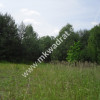 ⭐⭐⭐⭐ Okazja Działka 19000m2 z warunkami zabud!⭐⭐⭐⭐
