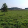 Działka Niegowoniczki