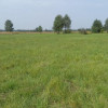 Działka Niegowoniczki