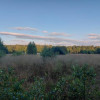 Działka Warężyn