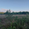 Działka Warężyn