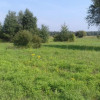 Działka Niegowoniczki