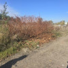 Działka Dąbrowa Górnicza Ujejsce