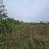 Działka Dąbrowa Górnicza Ujejsce