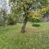Działka Rogoźnik