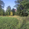 Stare siedlisko w Kozłowie  70/5000m2