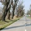 Działka Łazy