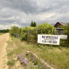 Działka Lipiny