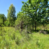Działka Mikłaszewo