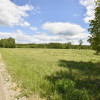 Działka Olchówka