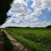 Działka Rajgród