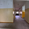 Lokal Hajnówka Hajnówka