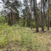 Działka w lesie 2064 m² - letniskowa i całoroczna