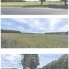 Przetarg - Kalsk gmina Sulechów