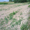 działka budowlana 22,40 ara Wz Rzeszów