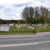 Działka Dąbrowa Tarnowska Bagienica ul. Szarwarska