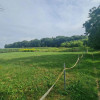 Działka Marchwacz-Kolonia