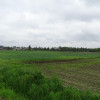 Działka Kuźnica