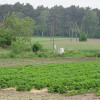 Działka Kalisz