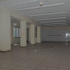Lokal Ceków-Kolonia