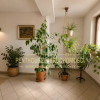 APARTAMENT Z WIDOKIEM NA GÓRY KOMINEK