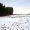 Działka Goleszów