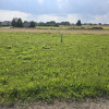 Działka Twardowice
