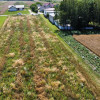 Działka budowlana 851 m2  Gołąb gm. Puławy.