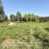 Działka Kaźmierów