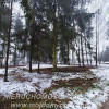 Działka Kuranów