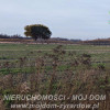 Działka Korytów