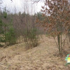 Działka Wężyk