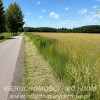 Działka Studzieniec
